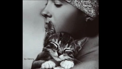 Tom Kaulitz