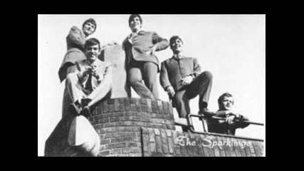 The Sparklings (nederbeat) - Now It's Your Turn To Cry