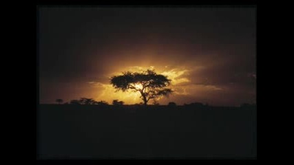 Tangerine Dream - Sun Gate