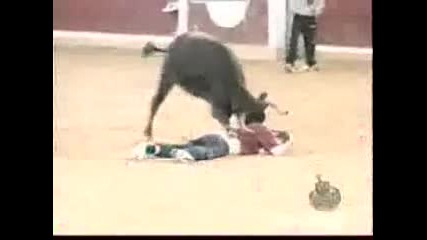 Bull attacks man