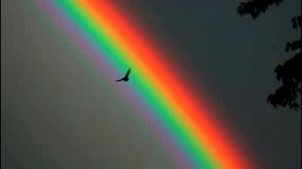 Blackie Lawless - Chasing A Rainbow 