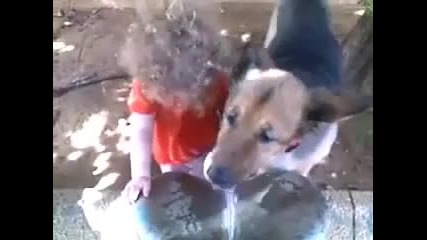 Куче не дава на дете да пие вода