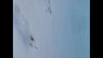 профисолналист със ски 