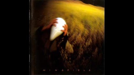 Face Down - Holy Rage (mindfield 1995) 