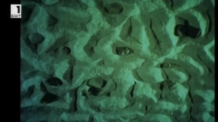 Каменни хора 1984 Tv Rip Бнт 1 23.04.2017