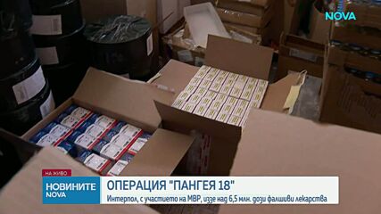 Интерпол изее фалшиви медикаменти за 15,5 млн. долара, включително в България