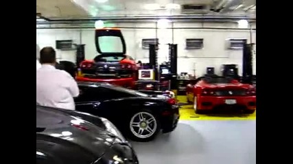 Ferrari Enzo 