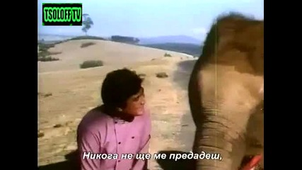 Слонът моя приятел - Tsoloff Tv 