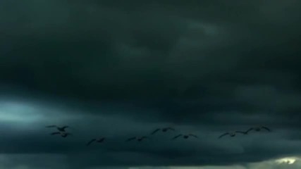Between the Calm & the Storm - Ludovico Einaudi - Divenire