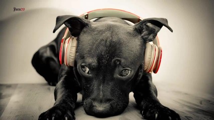 Nero - Innocence - Само за Ценители!