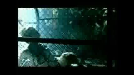 Rage - Down Превод