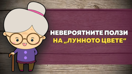 Невероятните ползи на „лунното цвете“