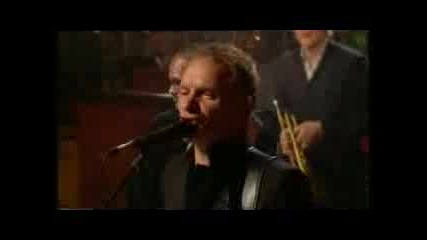 Sting - Brand New Day