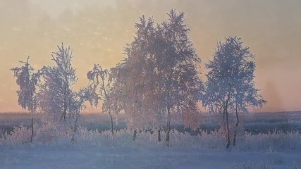 Secret Garden -frozen in time - Vremia holodov