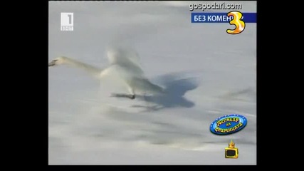 Господар на седмицата - 09 2012
