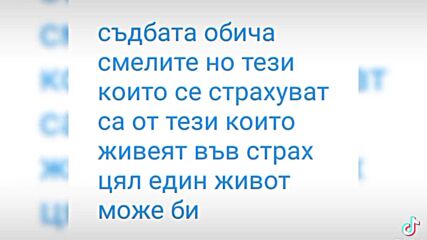 2024-08-19-133149340.mp4