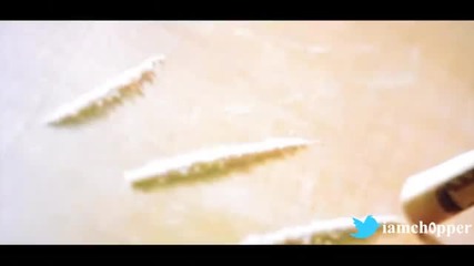 Choppercity - Birdman