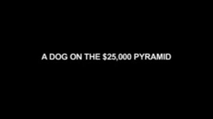 A Dog On The Pyramid