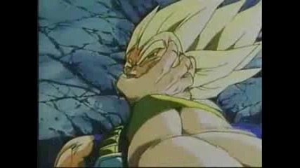 Broly - Pantera