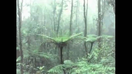 Enigma - Silent Warrior