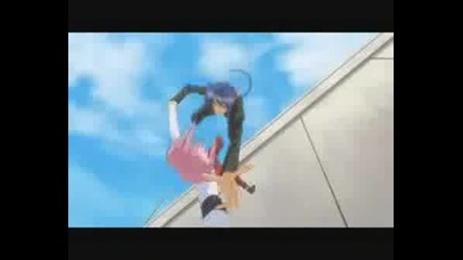 Shugo Chara