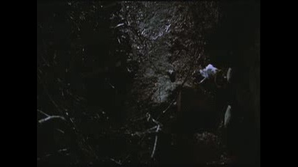 The Crow