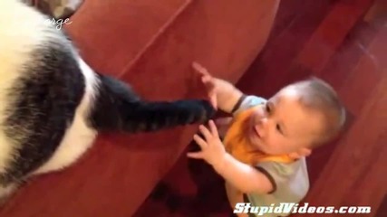 Бебе Срещу Котка Част 1