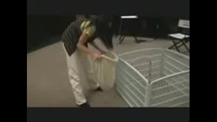 Miley Cyrus craziest moments