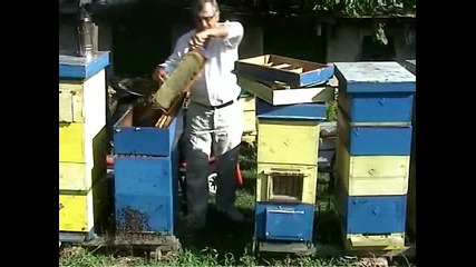 Отстраняване на пчелите от питите