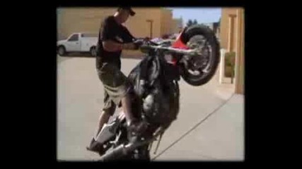Stunts 3