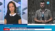 Огромният пожар в Хасковско тръгнал заради печени патладжани