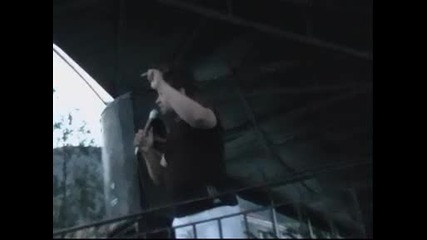 Nikolai