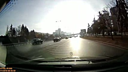 Лисица на "Цариградско шосе"