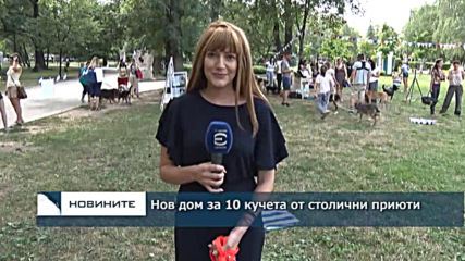 Нов дом за 10 кучета от столични приюти