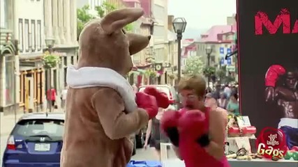 Смях ! Бокс с кенгуру ! Скрита камера !