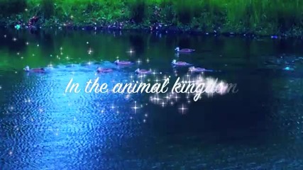 Zen - Relaxation by the Lake