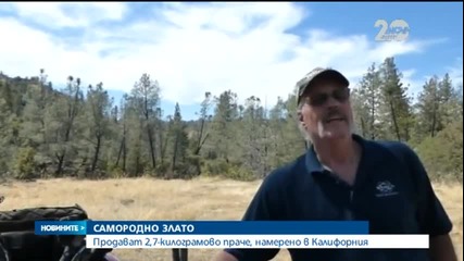 Продават на търг огромен къс самородно злато