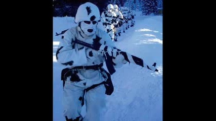 The Armed Forces Of Serbia