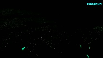 Shinee 1st concert in Japan 10/11 