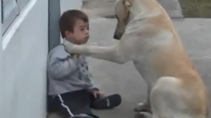 Невероятно отношение на куче към болно дете, ще ви разтопи сърцата.