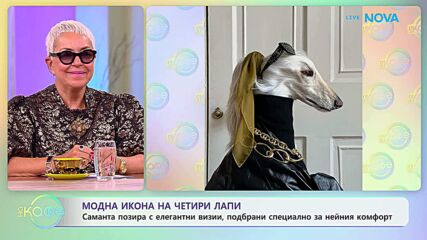 Коментар на актуални и любопитни теми по света и у нас | На кафе | На кафе | 12 окт. 2026