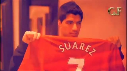 Luis Suarez The liverpool star