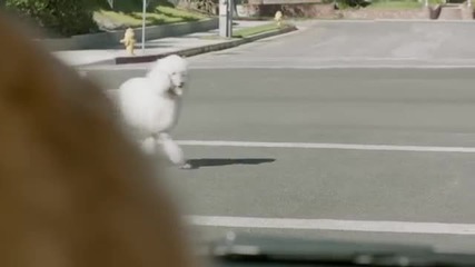 Subaru Dog Tested In the Dog House Реклама на Субару с кучета