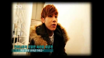 Infinite Valentine Day Making Present