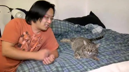 Котка мрази чернокожи