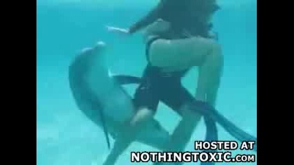 Делфин - перверзник 