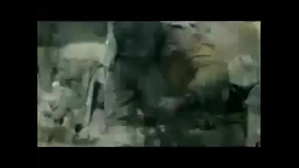 Green Day - wake me up when september ends