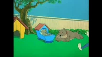 Tomandjerry.3gp