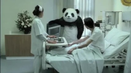 Never say no to Panda #1