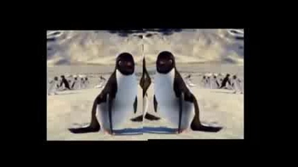 Happy Feet + We Fly High